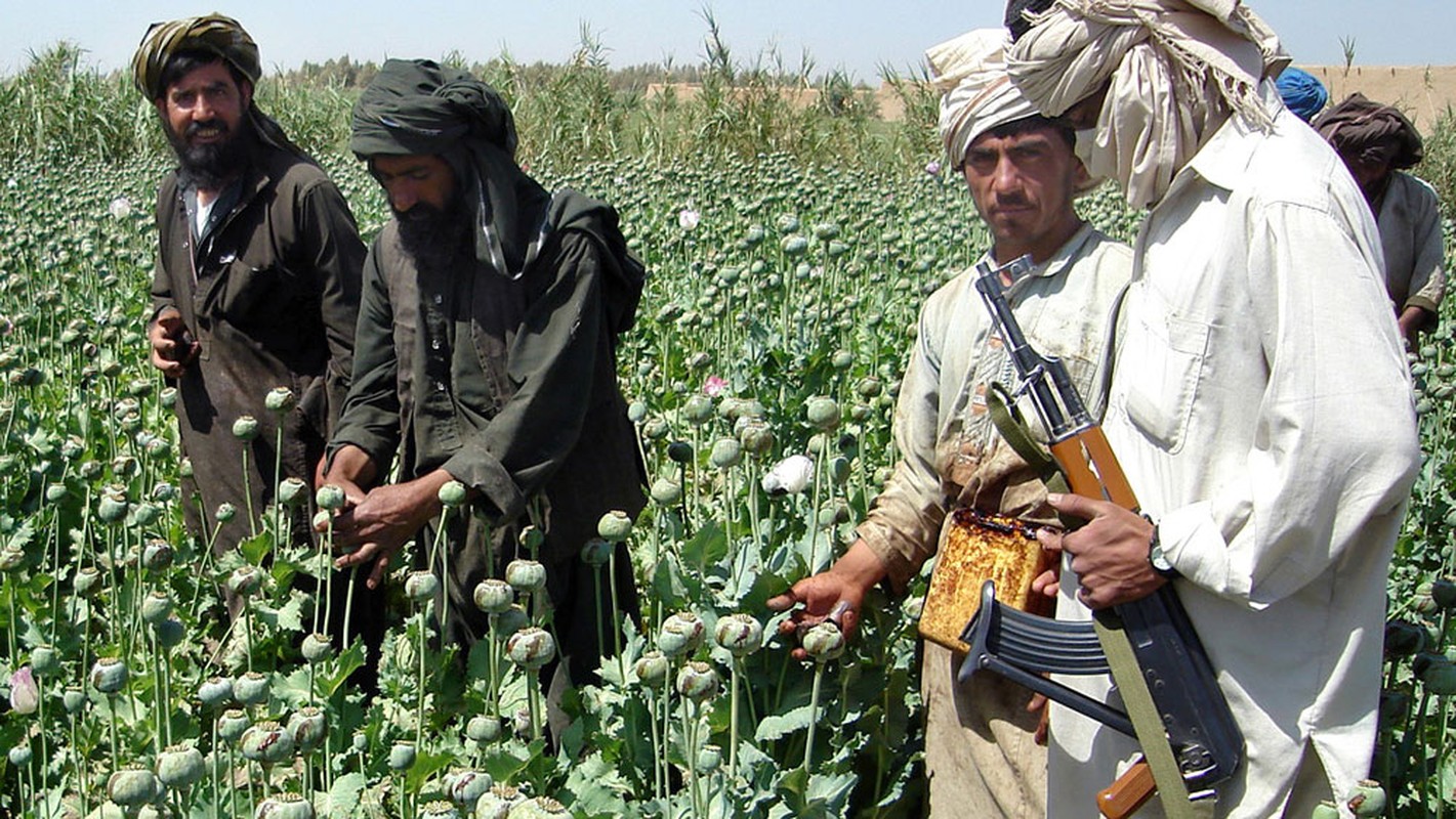 Vua nam quyen, Taliban phai doi mat voi ke thu truyen kiep ISIS-K-Hinh-13