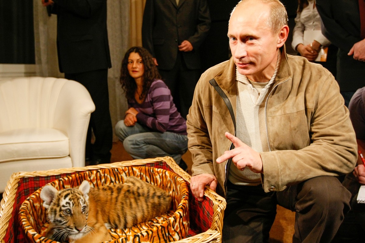 View - 	Điểm loạt món quà động vật đặc biệt của Tổng thống Nga Putin