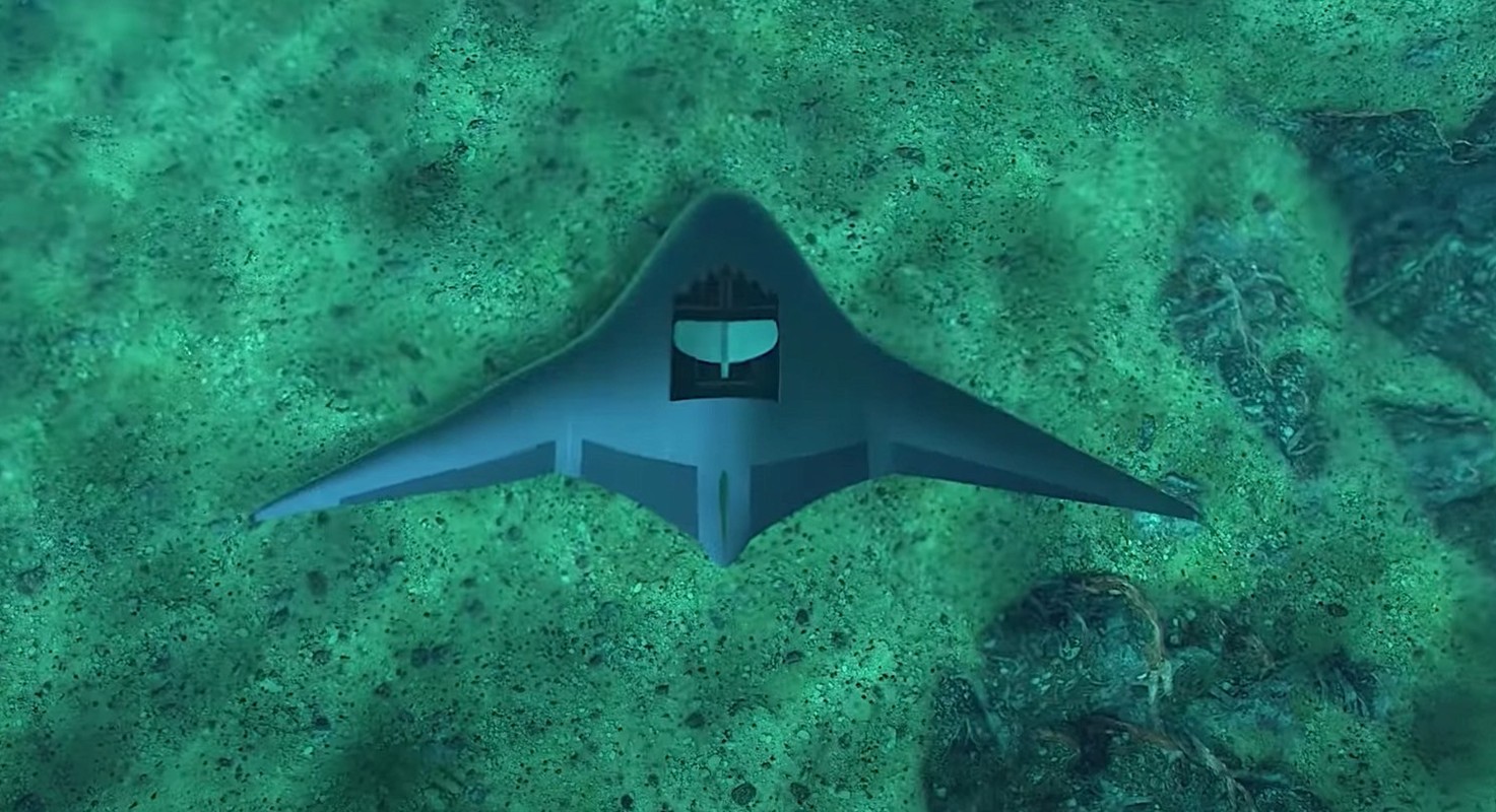 Sieu du an UUV “Ca duoi” Manta Ray, cuoc cach mang trong long dai duong-Hinh-6