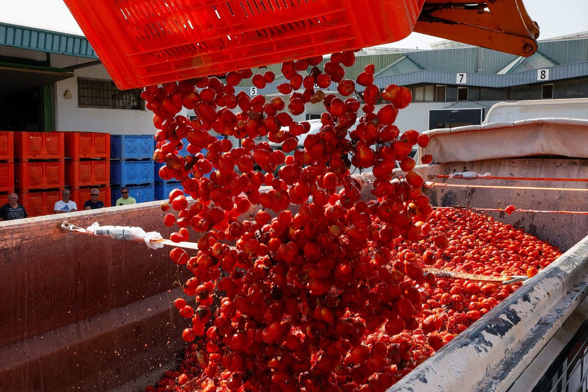 Bung no sac do le hoi La Tomatina doc dao o Tay Ban Nha