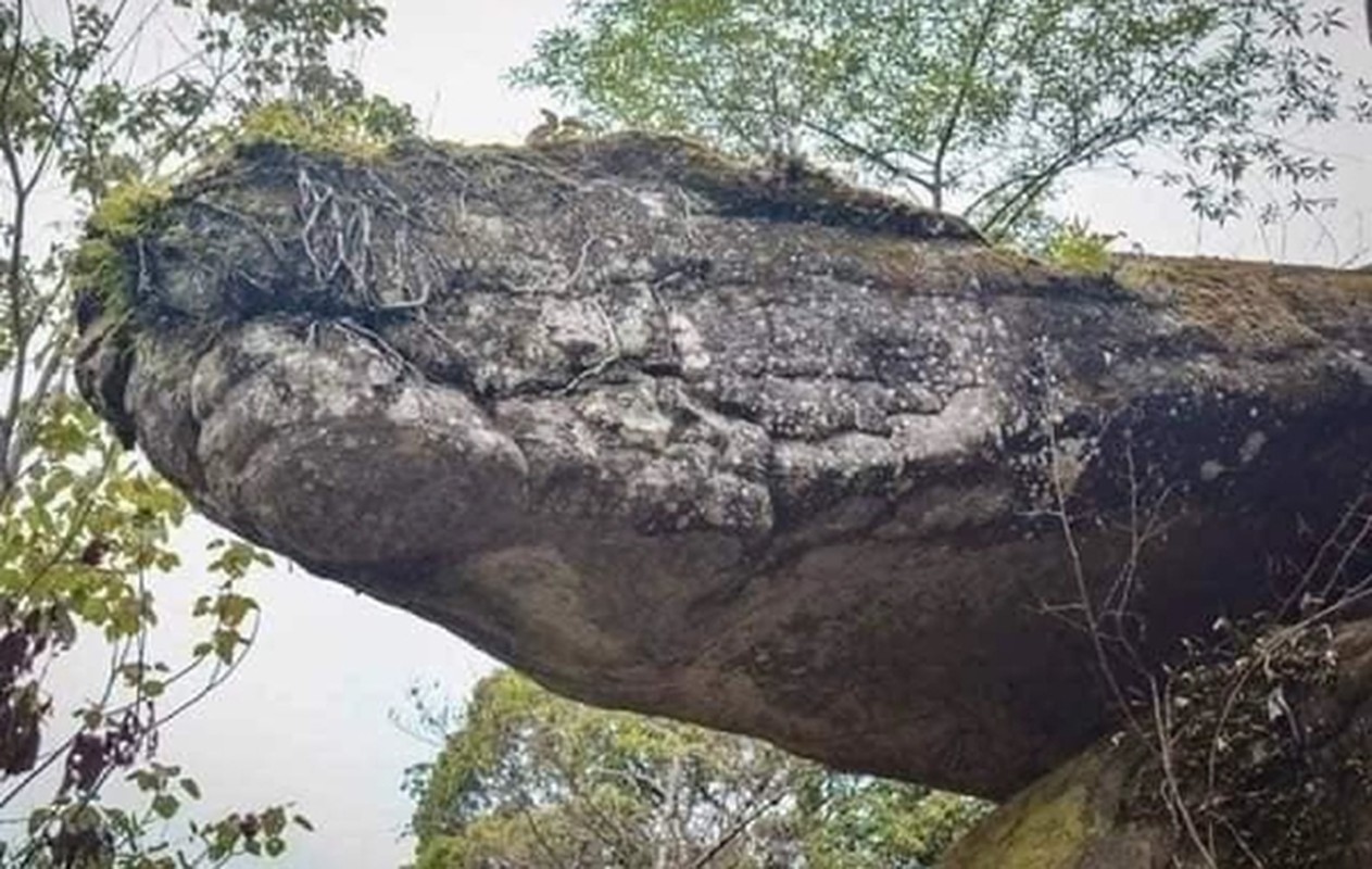 Ky bi hang ran than khong lo linh thieng chi co o Thai Lan-Hinh-2