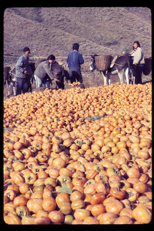 Cuc hiem anh mau cuoc song o Bac Kinh thap nien 1970-Hinh-4