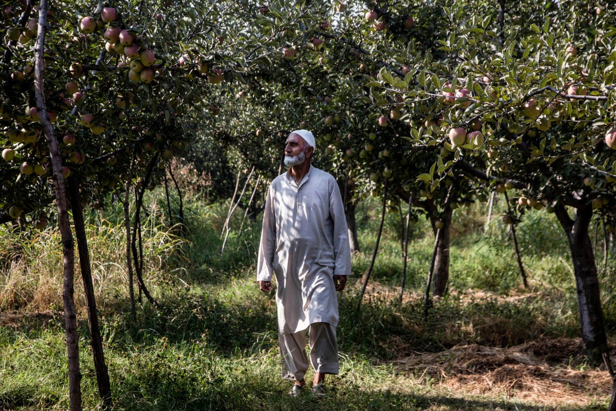 Kashmir te liet vi lenh gioi nghiem suot 100 ngay, dan than troi-Hinh-10