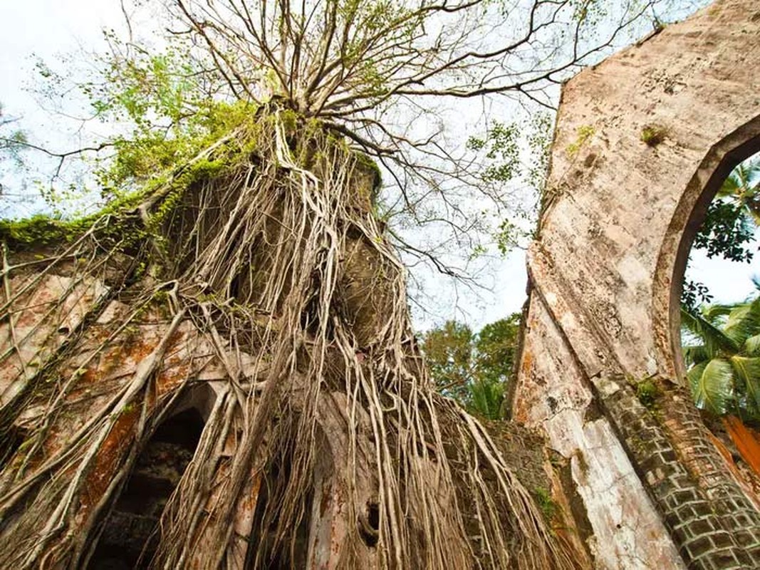 Dot nhap dao hoang tung la nha tu khet tieng o An Do-Hinh-13