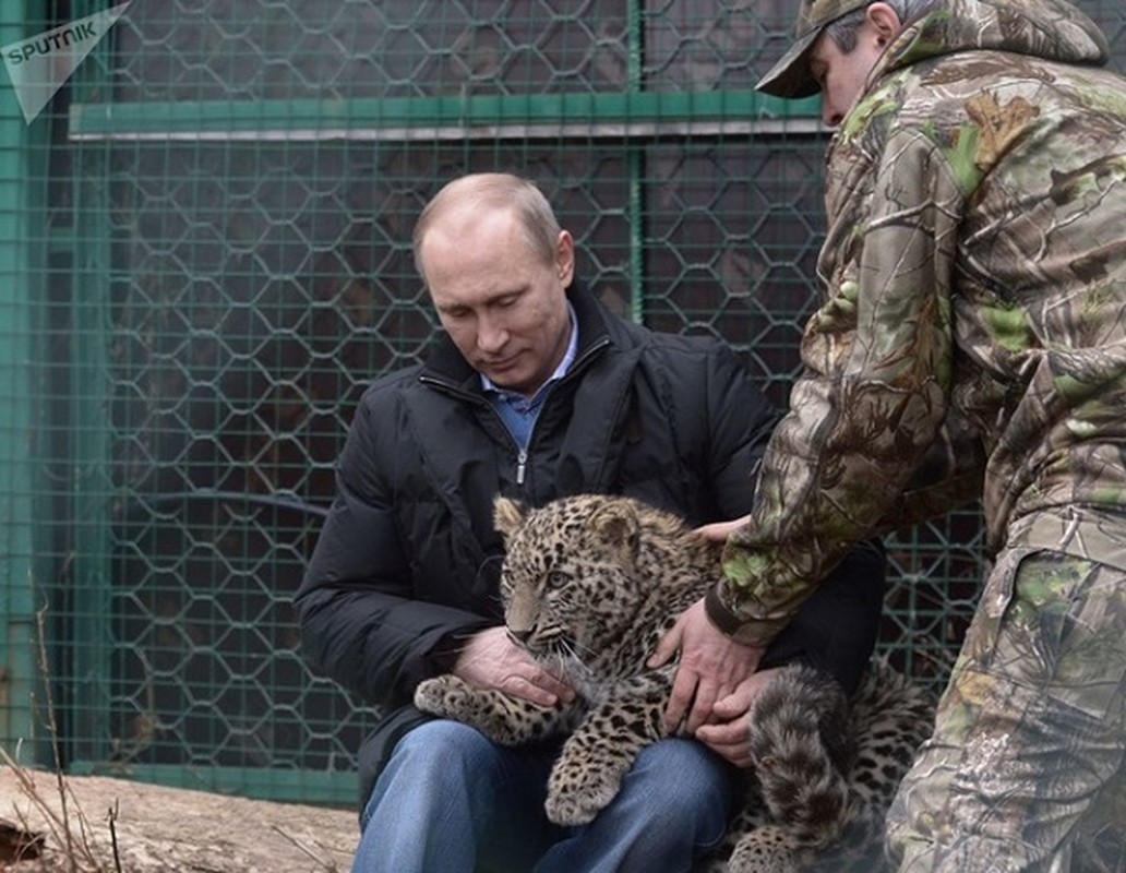 Loat khoanh khac chung to Tong thong Putin la nguoi yeu dong vat-Hinh-3