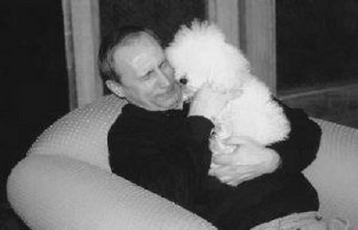 Nhung chu cho noi tieng cua Tong thong Vladimir Putin-Hinh-11