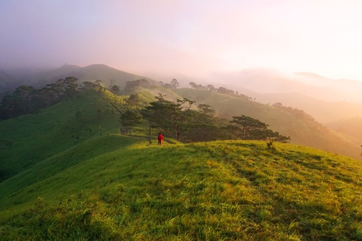 Bang rung tren cung duong trek dep nhat Viet Nam-Hinh-2