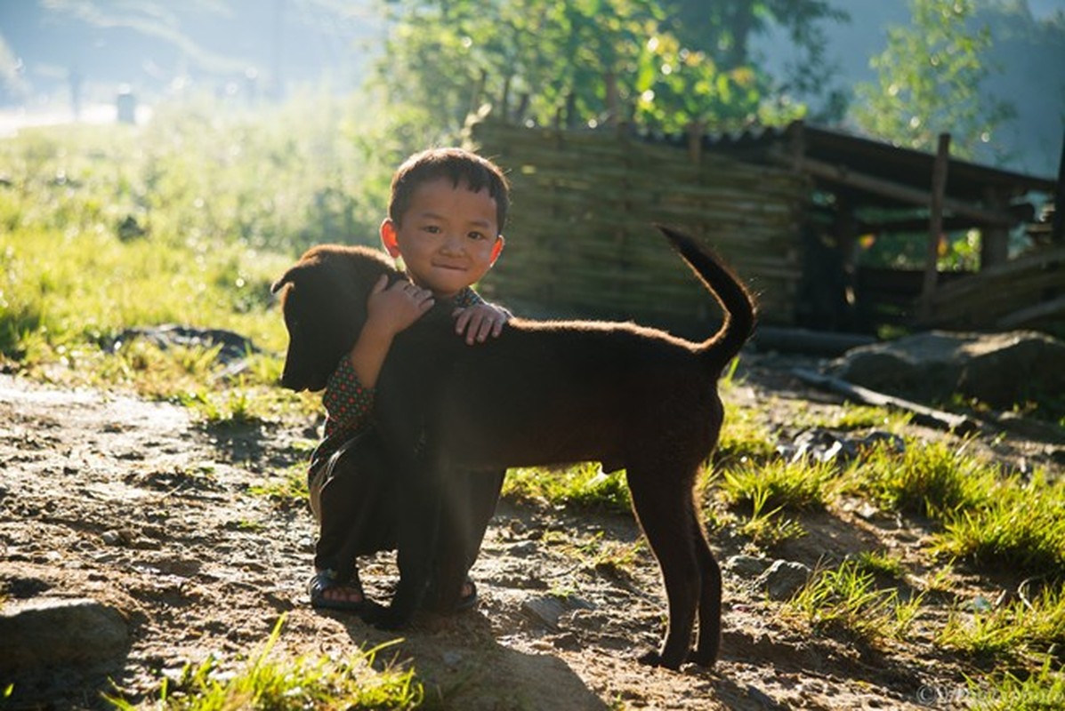 Ngam cung duong Sa Pa - Y Ty dep ruc ro mua lua chin-Hinh-16