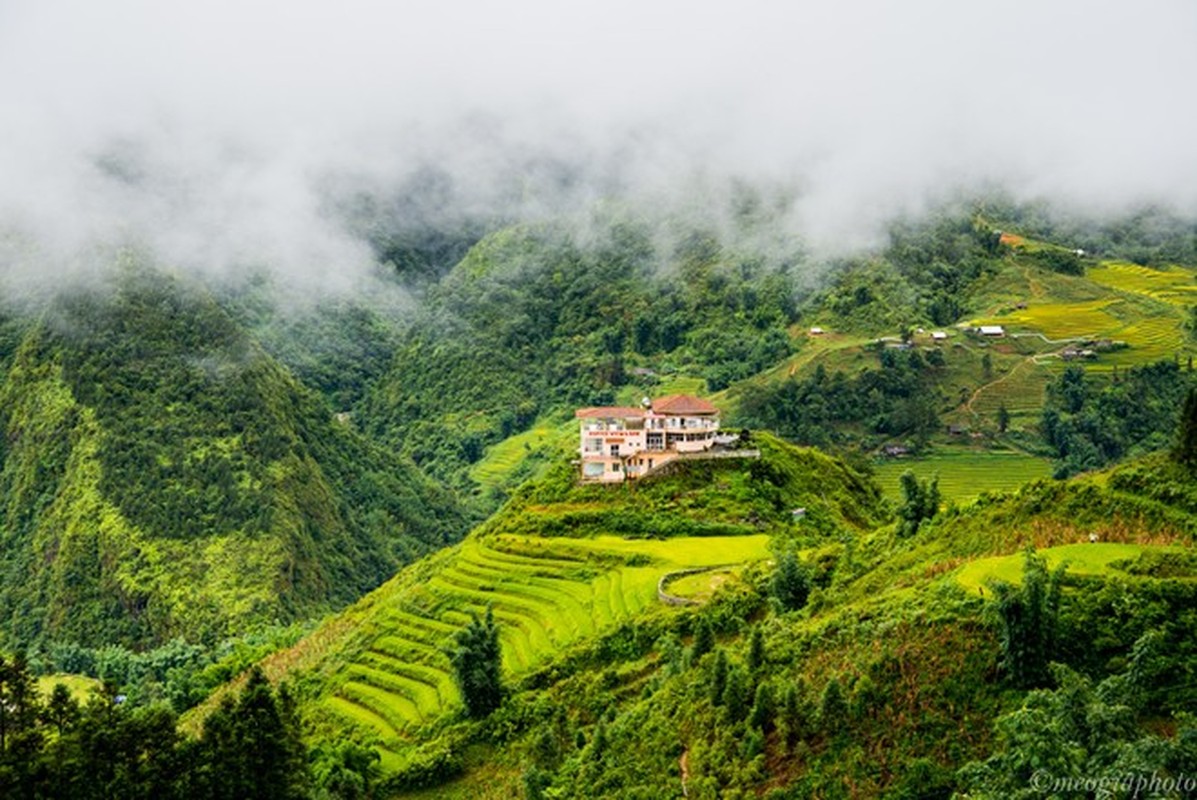 Ngam cung duong Sa Pa - Y Ty dep ruc ro mua lua chin-Hinh-3