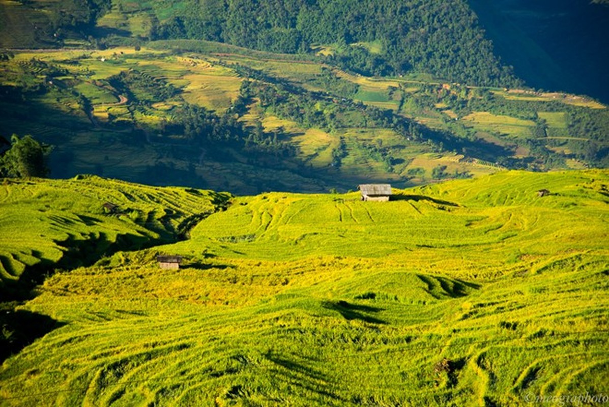 Ngam cung duong Sa Pa - Y Ty dep ruc ro mua lua chin-Hinh-8