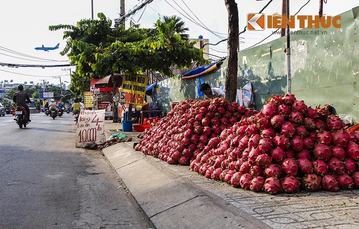 Ao at ban thao thanh long gia re giat minh 2.000 dong/kg-Hinh-4