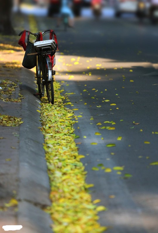 Ngam Ha Noi mua thu dep nao long-Hinh-9