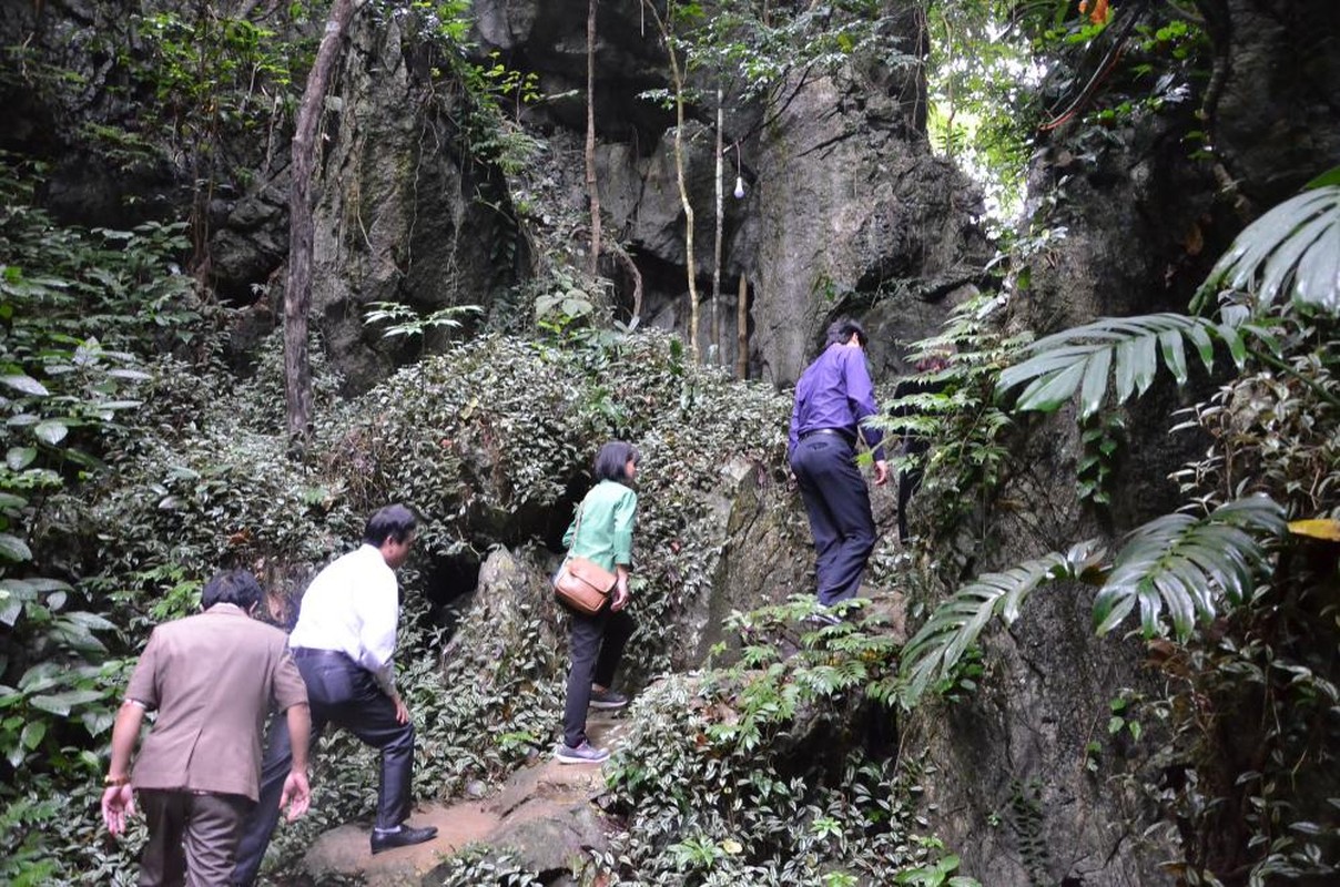 Vuon quyt trong lan da quy hiem, co mot khong hai tai Viet Nam-Hinh-8