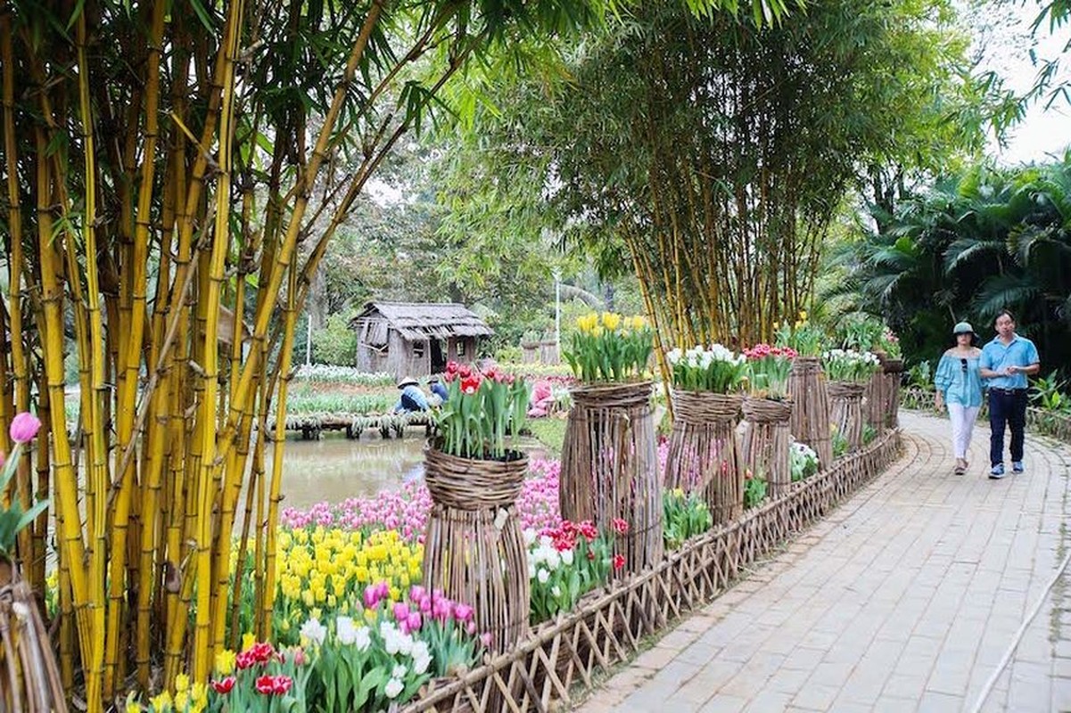 Nguoi dan do xo di ngam canh dong hoa tulip Ha Lan tai Ha Noi-Hinh-13