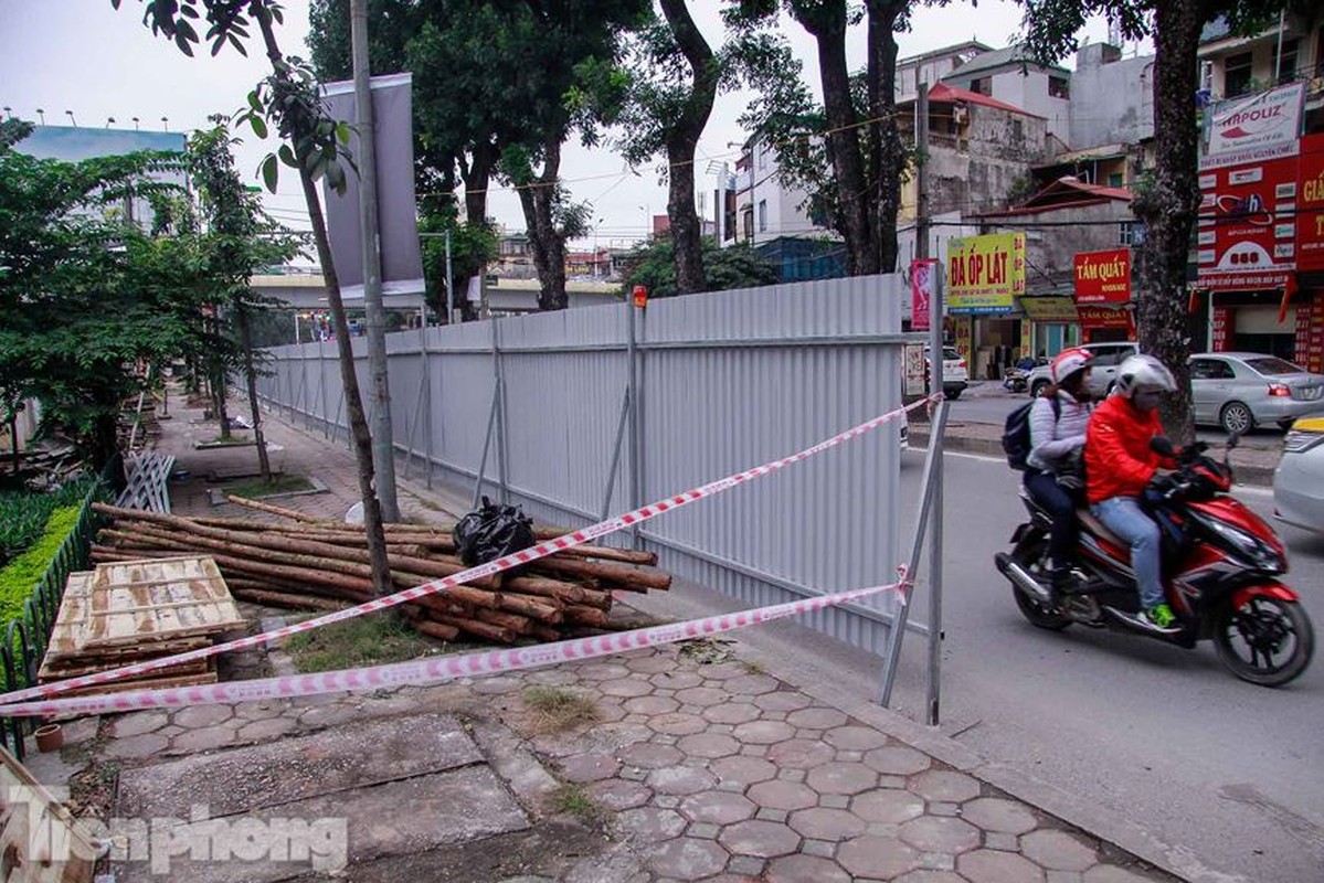 Ha Noi xen via he, ha gan 500 cay xanh de mo rong duong Lang-Hinh-2