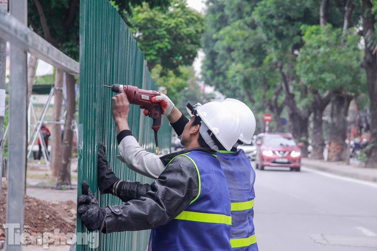 Ha Noi xen via he, ha gan 500 cay xanh de mo rong duong Lang-Hinh-4