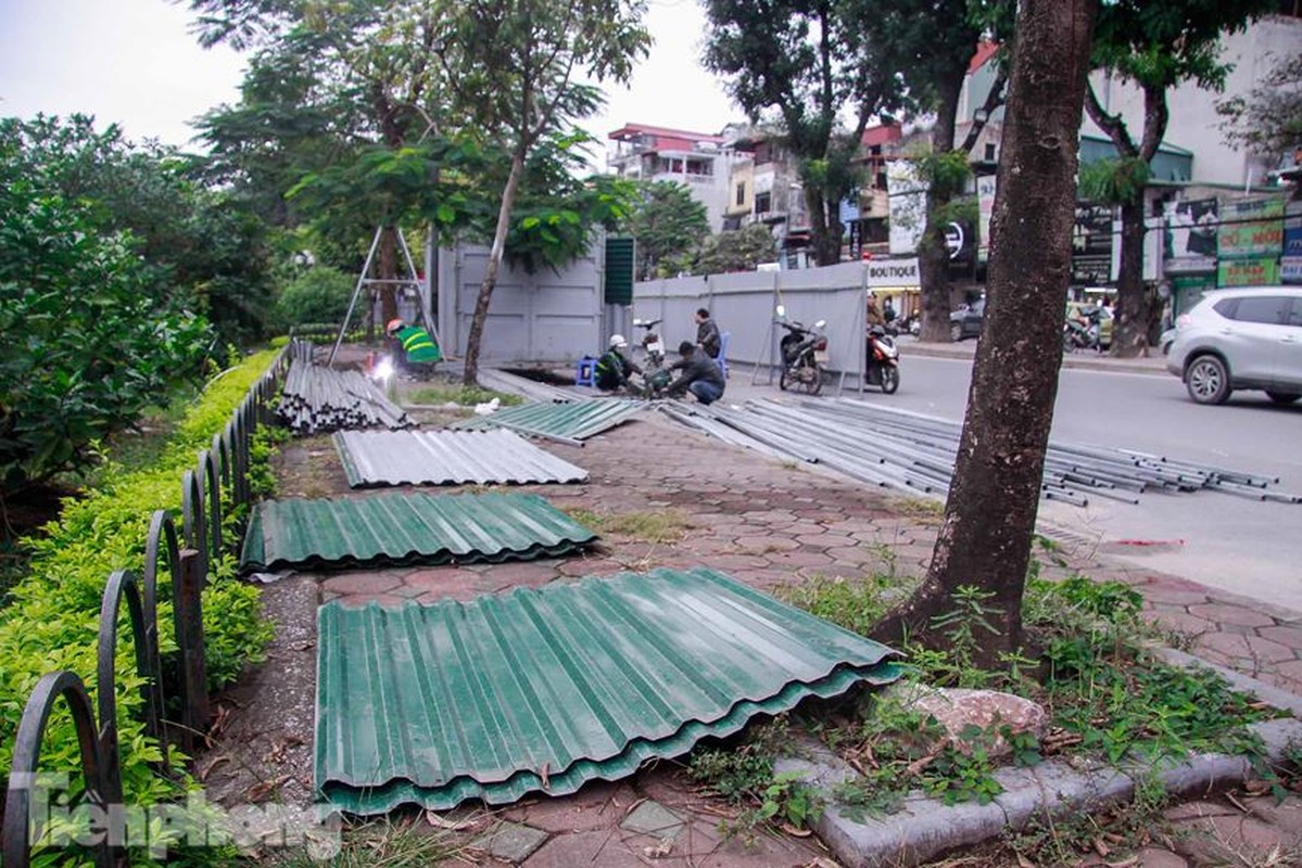 Ha Noi xen via he, ha gan 500 cay xanh de mo rong duong Lang-Hinh-5