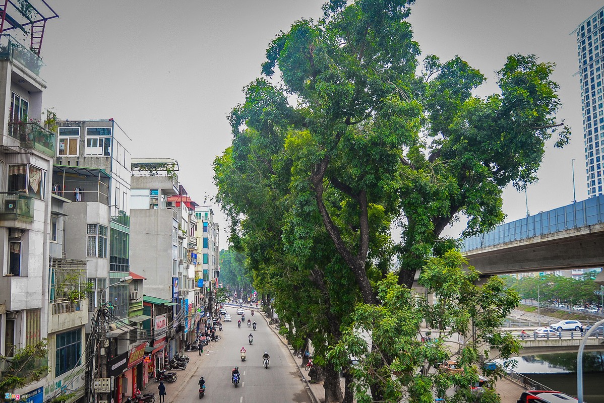 Trang dem rao duong, xen dai phan cach de chong un tac o Ha Noi-Hinh-11