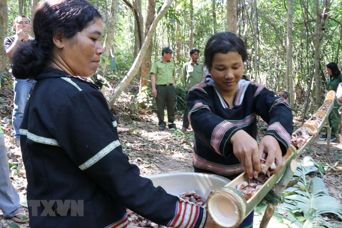 Hieu ky le cung Rung cua nguoi dan toc thieu so Tay Nguyen-Hinh-7