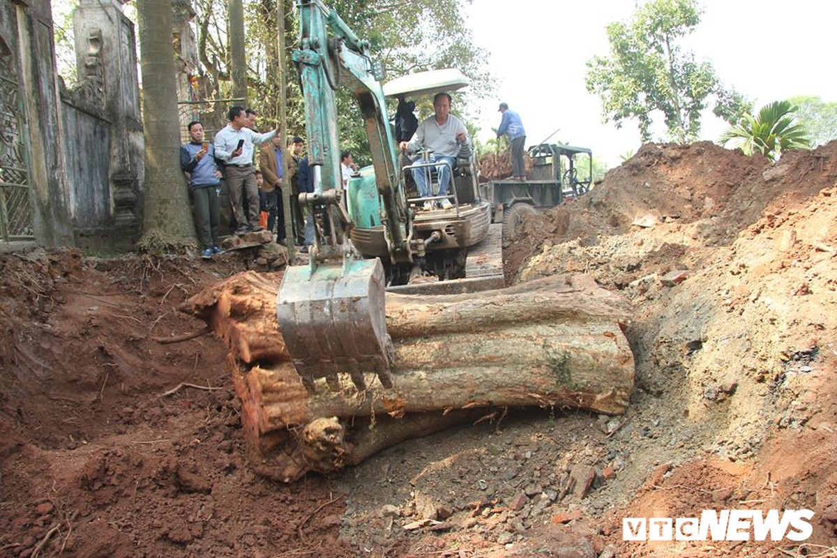 Dan lang mua thung container, ngay dem bao ve go cay sua tram ty-Hinh-2