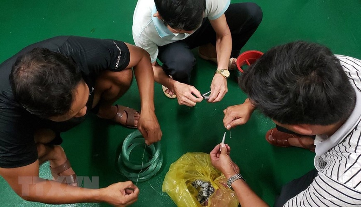 Trai nghiem thu vi khi san ca dem tren bien Truong Sa-Hinh-14