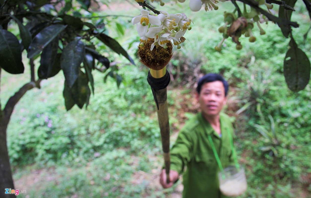 Anh: Ky la ngon nghe 