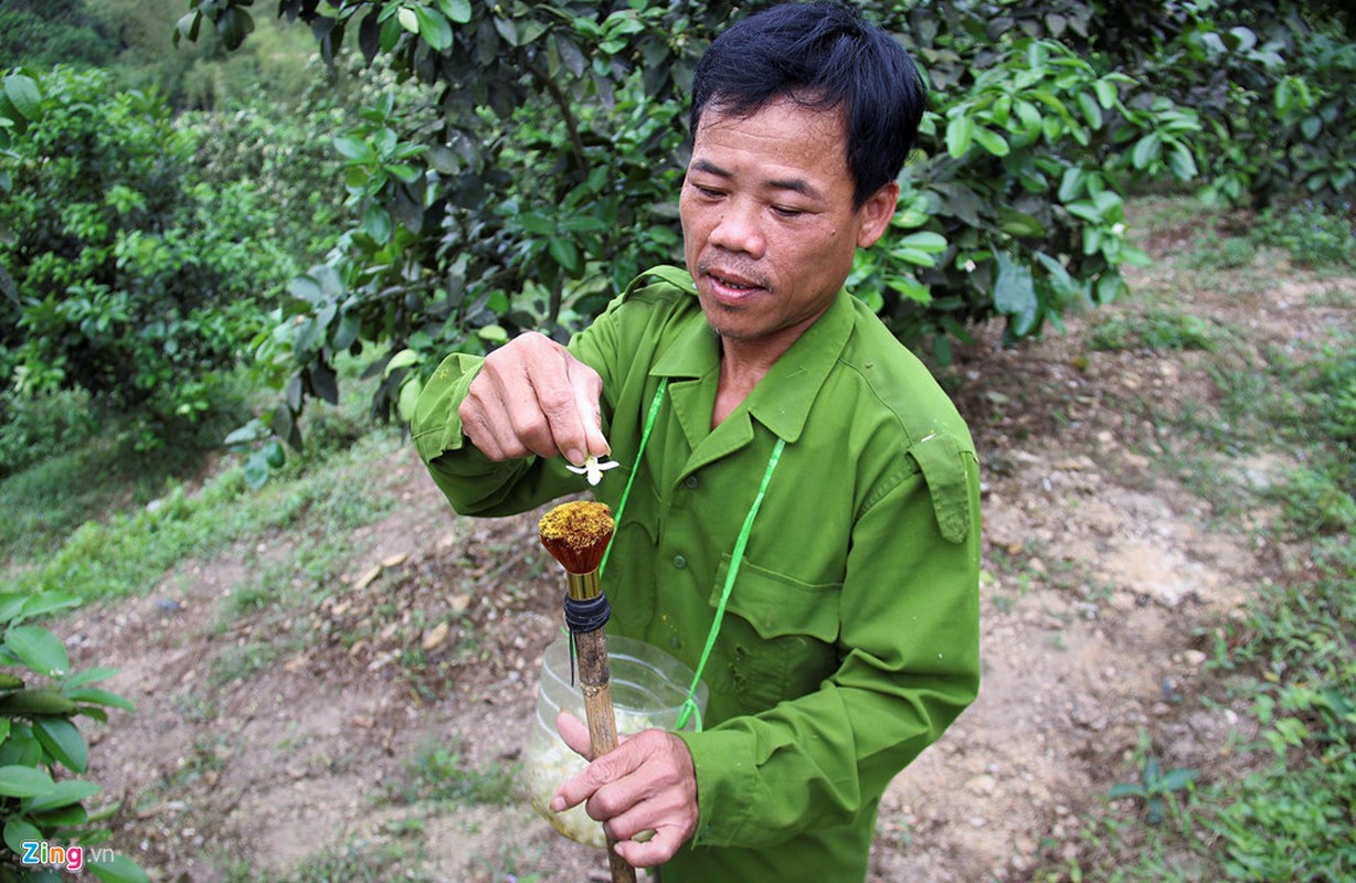 Anh: Ky la ngon nghe 