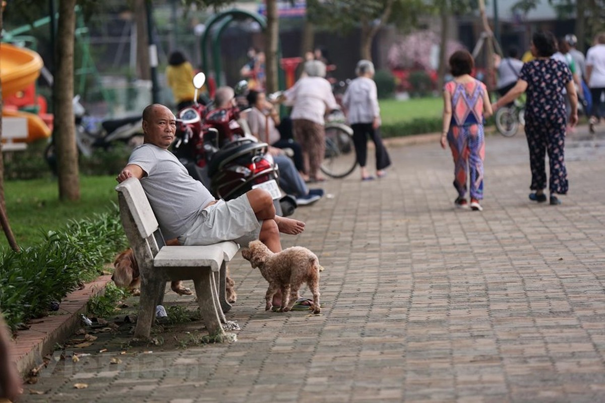 Ha Noi: Cho van duoc tha rong bat chap nhieu tai nan chet nguoi-Hinh-3