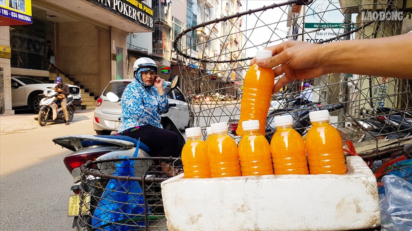 Ha Noi: Nguoi ban hang rong vat va voi nang nong dau he-Hinh-5