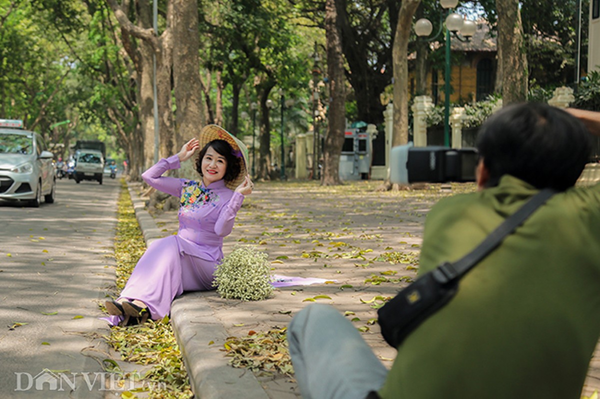 Anh: Mua la sau nhuom vang tren con duong lang man nhat Ha Noi-Hinh-6