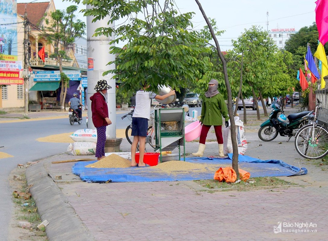 TP Vinh: Duong pho, via he 'bien' thanh san phoi lua-Hinh-5