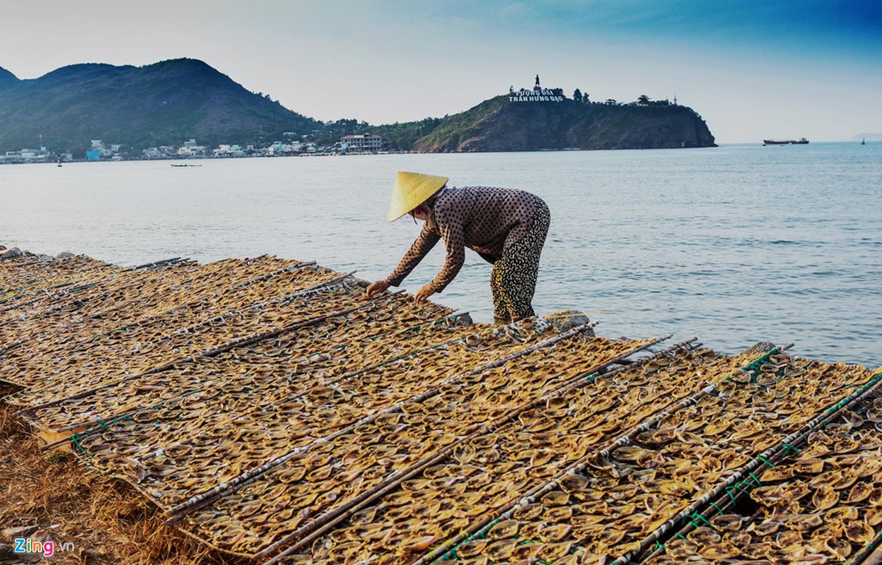 Khu lan bien 120.000 m2 hoang phi 6 nam ben bo bien Quy Nhon-Hinh-6