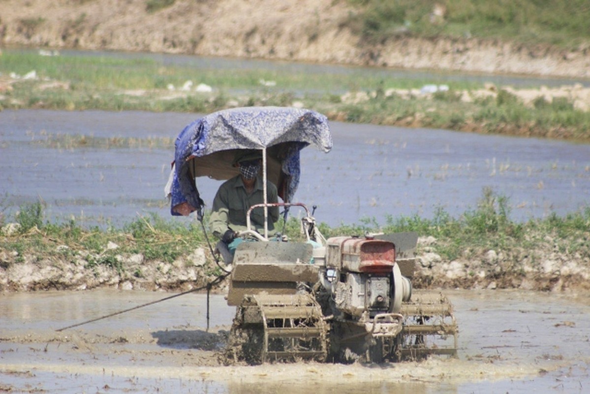 Nong dan vat ao ra mo hoi, lam dat duoi nang 40 do C-Hinh-2