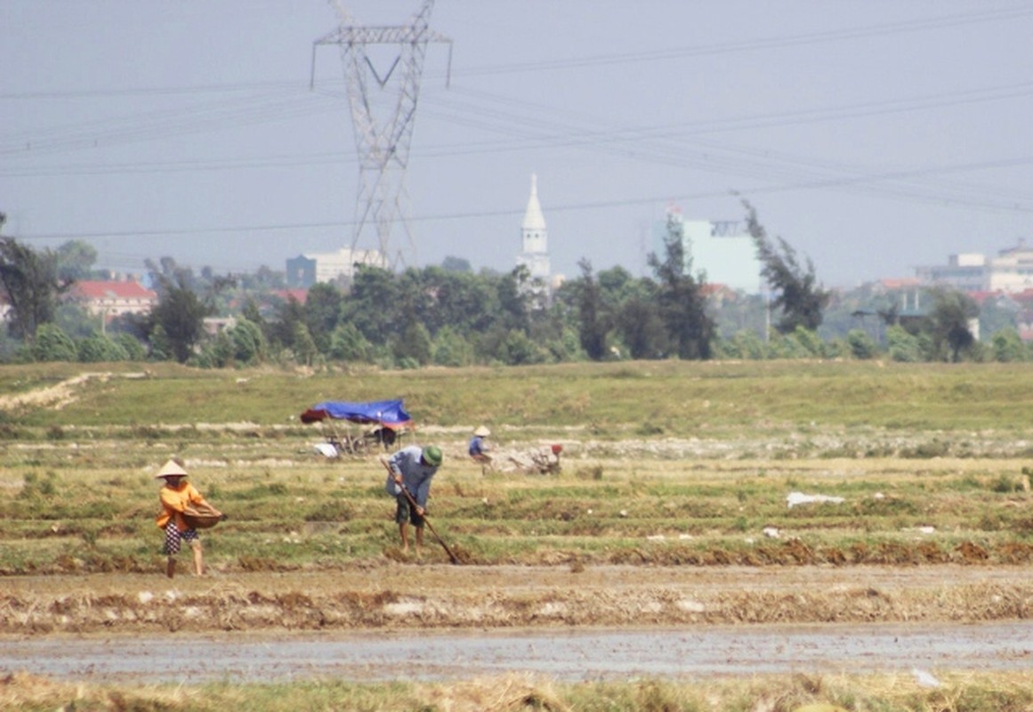 Nong dan vat ao ra mo hoi, lam dat duoi nang 40 do C