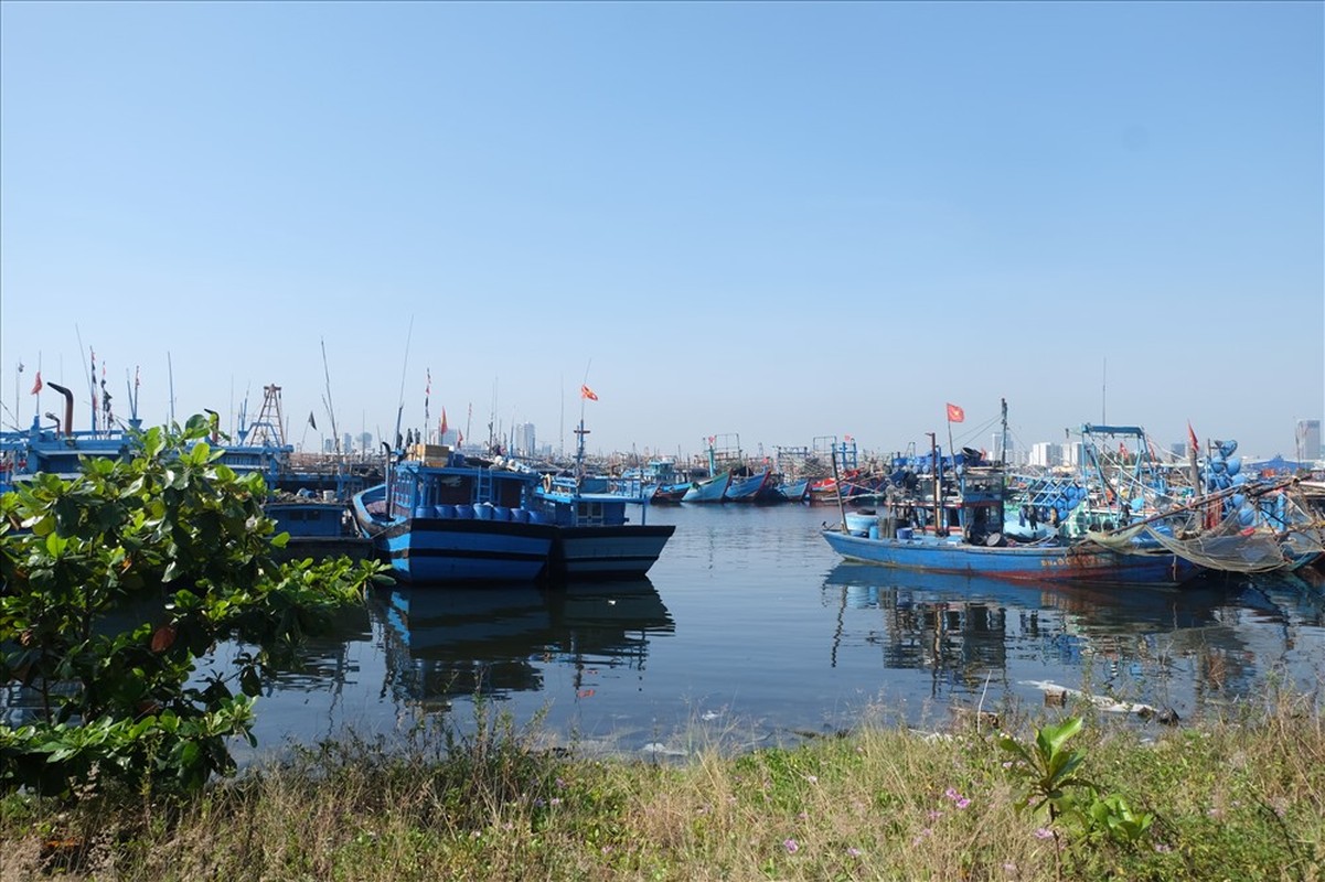 Au thuyen lon nhat Da Nang bi rac thai bua vay