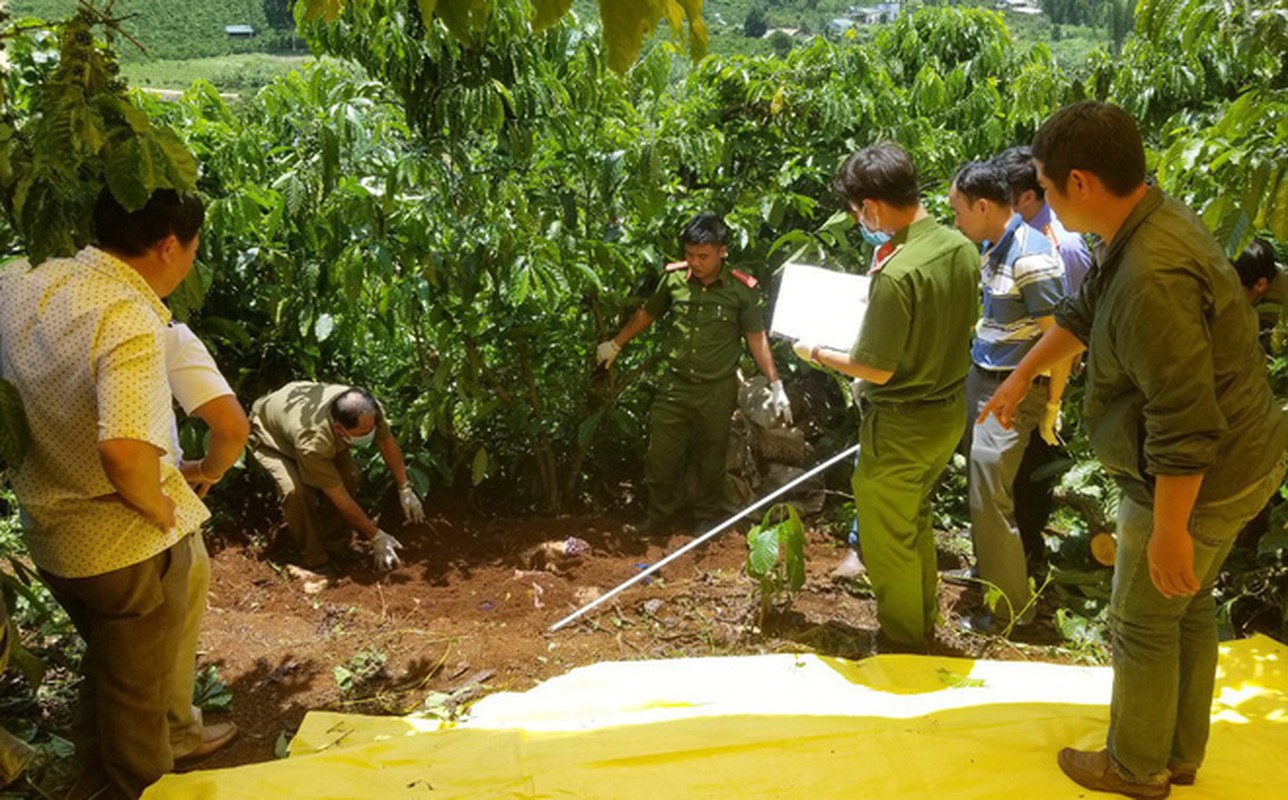 Diem lai nhung vu tham an ron nguoi tu dau nam 2019-Hinh-22