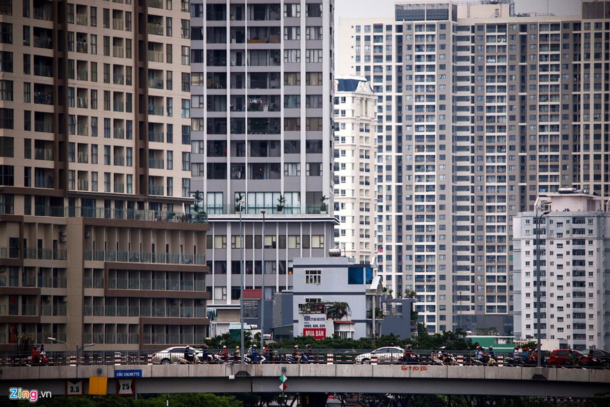 Ngat tho voi 'rung be tong' o Ha Noi va TP.HCM-Hinh-11