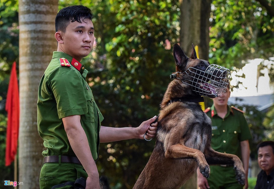 Canh khuyen dung manh tan cong 'toi pham'-Hinh-6