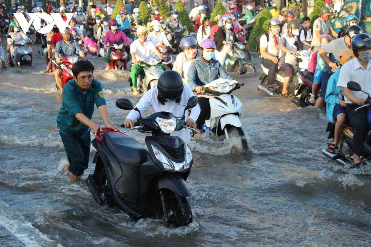 Dan Can Tho boi tren duong vi trieu cuong-Hinh-2