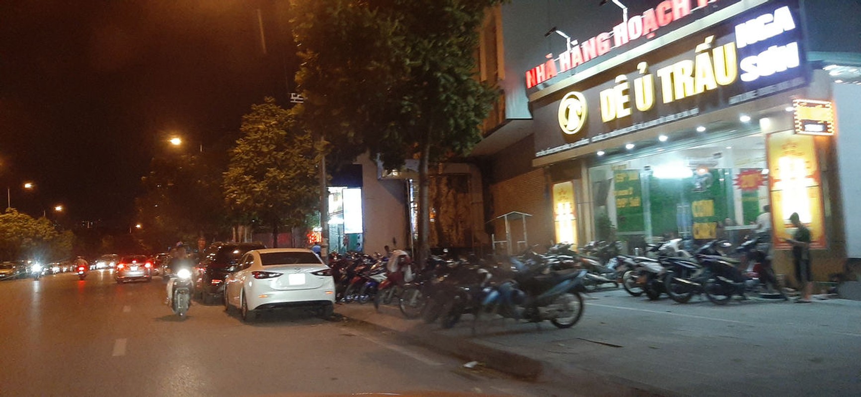 Sau hieu ung cua ong Doan Ngoc Hai, via he Ha Noi lai bi lan chiem-Hinh-4