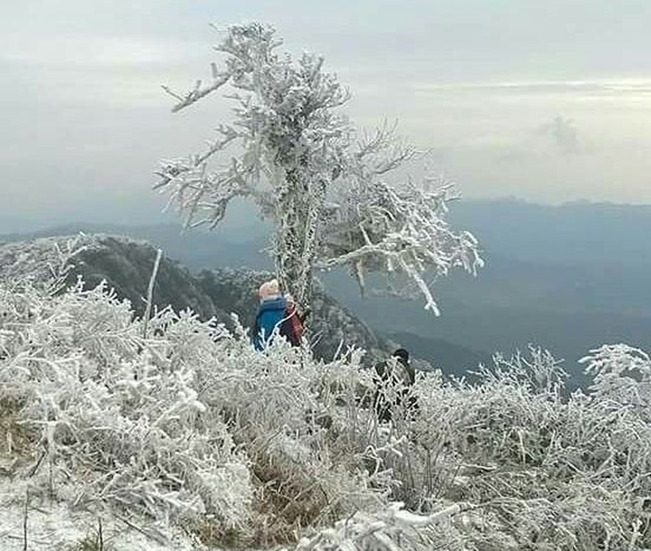 Du bao se co mua tuyet, nguoi dan den dau de thuong ngoan?