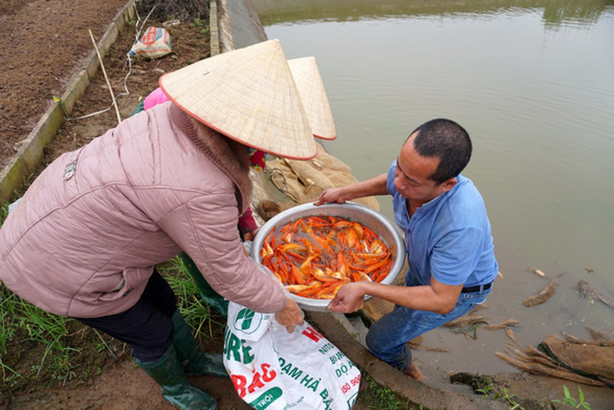 Can canh lang ca chep tat bat voi Tet ong Cong, ong Tao-Hinh-3