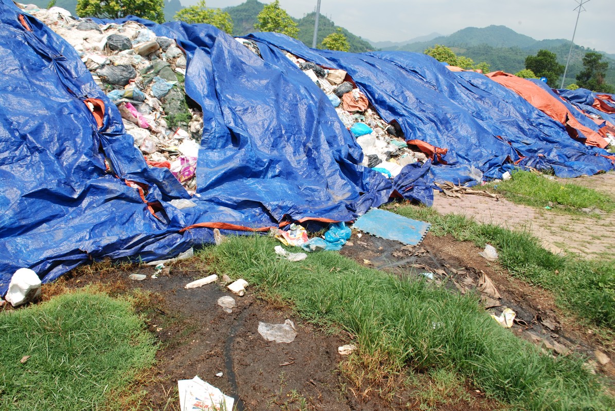 Bai rac dai hang tram met bong dung 