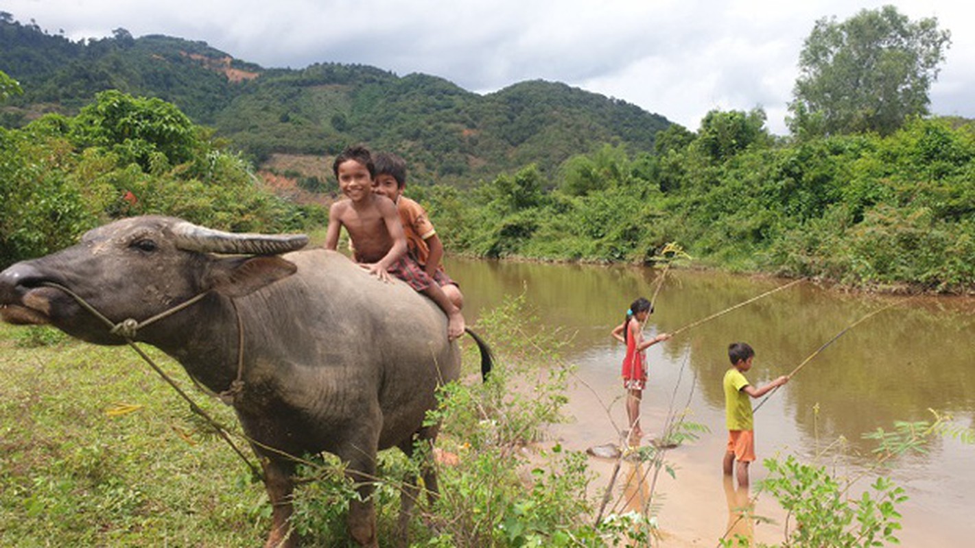 Ban het tai san, cap vo chong Vung Tau dap xe cho 2 con nho di phuot khap Viet Nam-Hinh-3