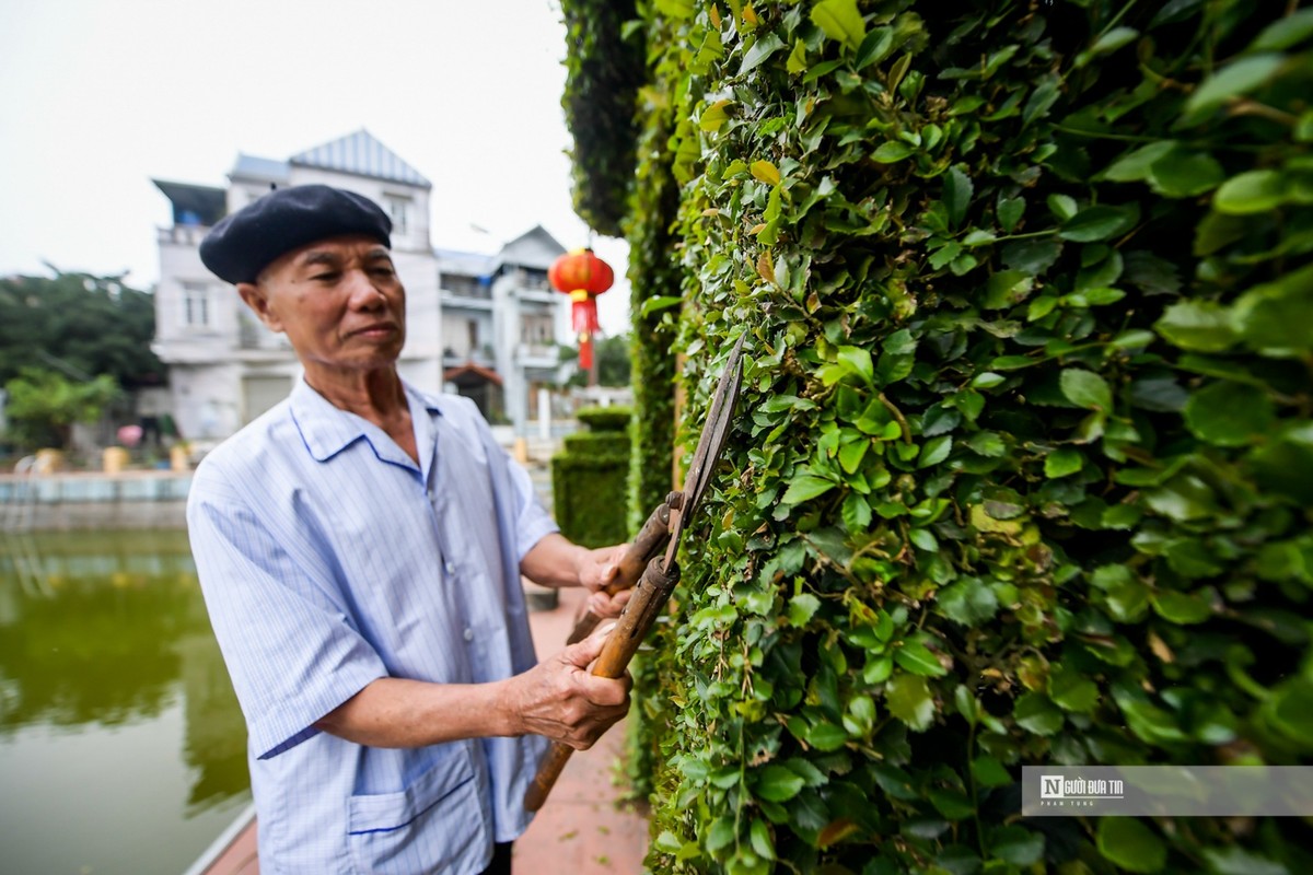 Ngam cong rao “doc nhat vo nhi” bang cay o ro 30 nam tuoi-Hinh-8