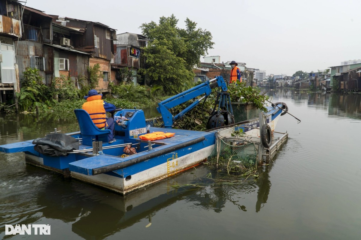 Doi quan dac biet giu mau xanh cho kenh Nhieu Loc - Thi Nghe-Hinh-3