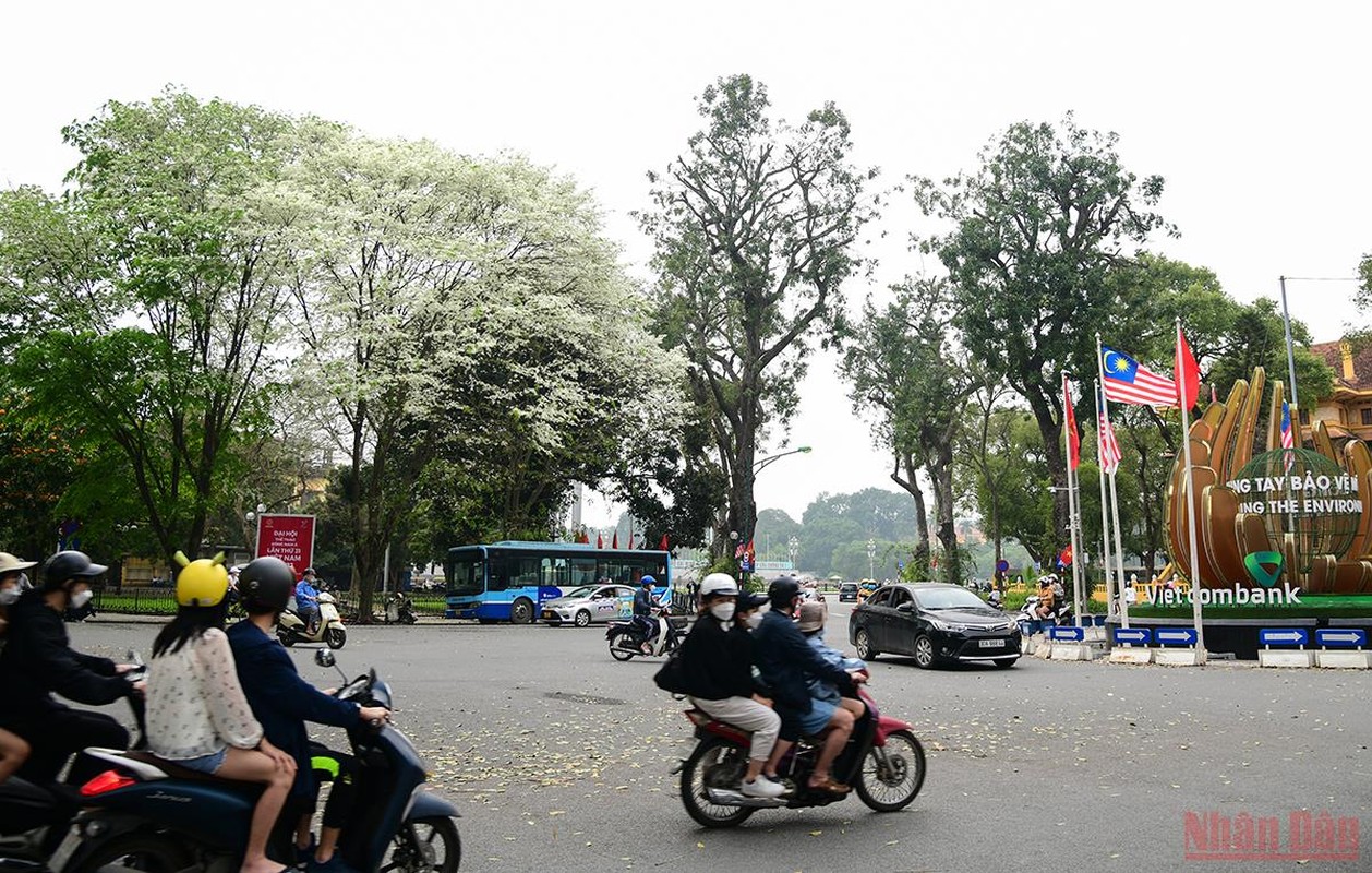 Ha Noi ruc ro mua hoa thang 3-Hinh-2