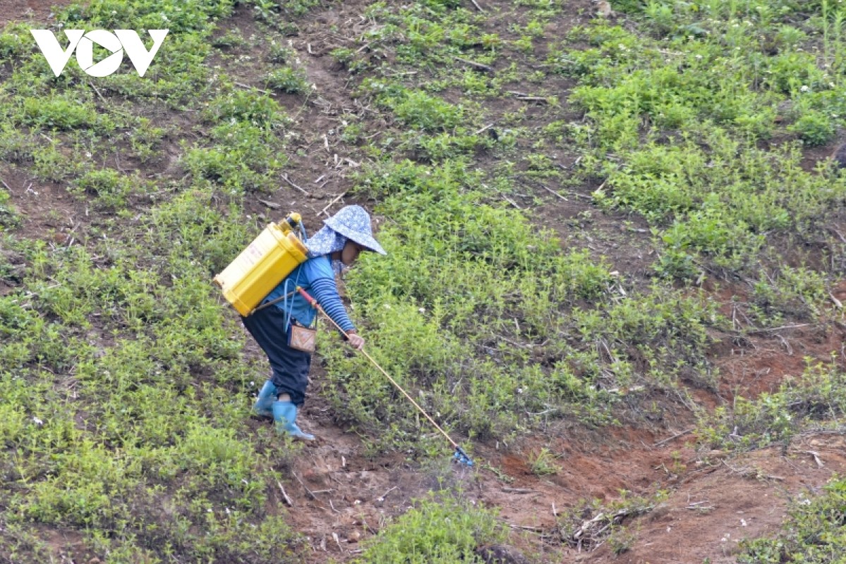 TP Dien Bien Phu doi dien voi nguy co o nhiem nang nguon nuoc-Hinh-10