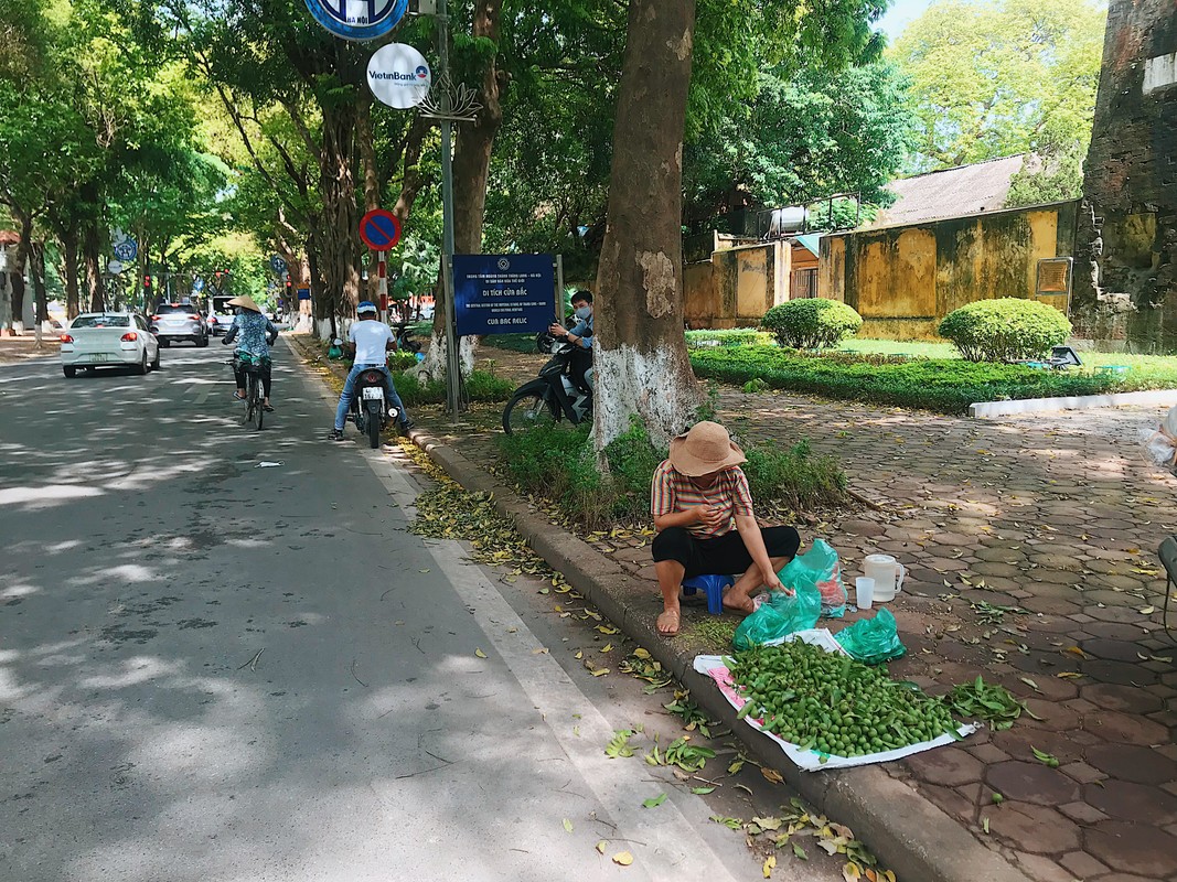 Doc dao nhung cay co thu khung, ky di tren duong pho Ha Noi-Hinh-16