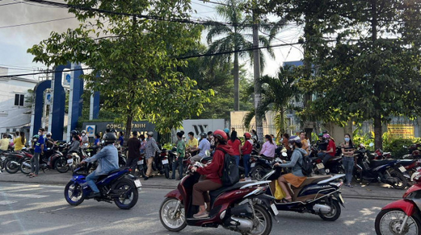 Hien truong vu chay nha kho rong gan 10.000 met vuong o Binh Duong-Hinh-8